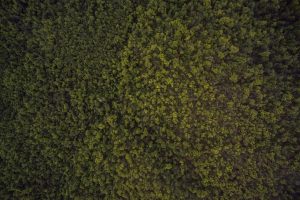 Potret Terbaru Anak Kembar Artis yang Kini Telah Dewasa, Makin Cantik & Ganteng